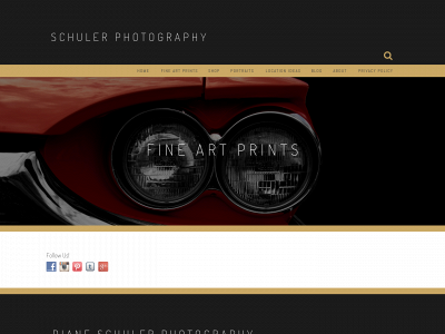 schulerphotography.com snapshot