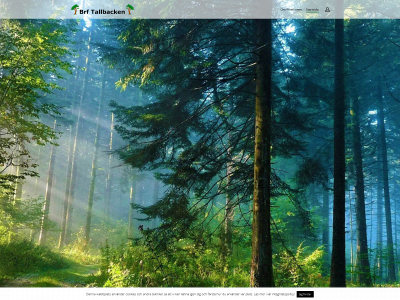 tallbacken.nu snapshot