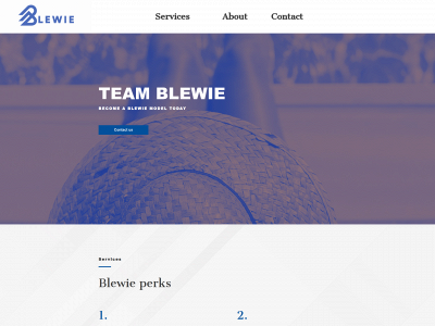 blewie.com snapshot