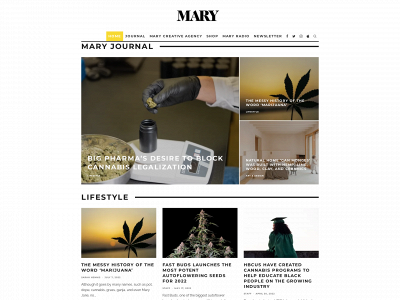 mary-magazine.com snapshot