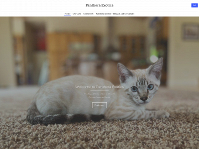 pantheraexotics.com snapshot