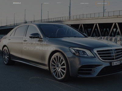 braendle-limousine.ch snapshot