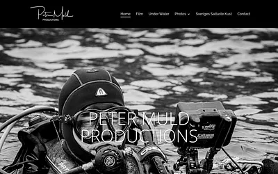 petermuldproductions.com snapshot