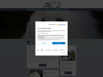 kennelmycoton.com snapshot