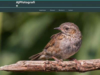 ajpfotografie.nl snapshot
