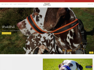 2posh2pull.co.uk snapshot