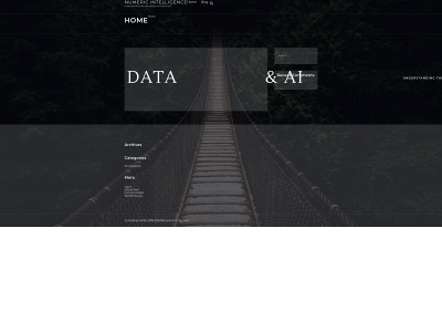 numint.ai snapshot