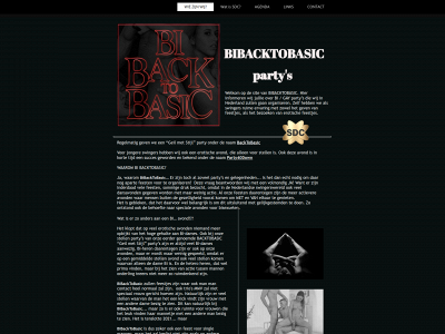 bibacktobasic.nl snapshot