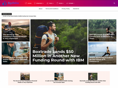 s1p.online snapshot