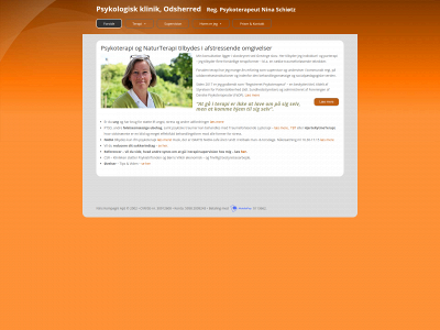 nins.dk snapshot