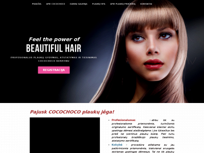 cocochoco.weebly.com snapshot