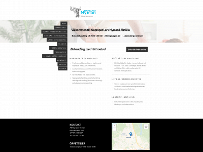 naprapatnyman.se snapshot