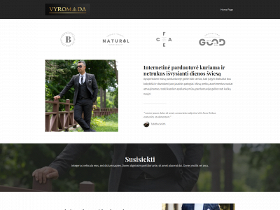 vyromada.lt snapshot