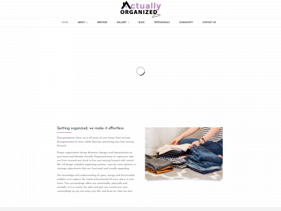 actuallyorganized.net snapshot