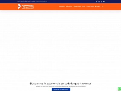 suraguantes.com snapshot