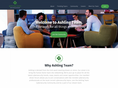 ashlingteam.com snapshot