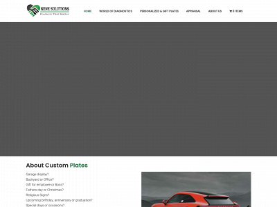 nenesolutions.ca snapshot