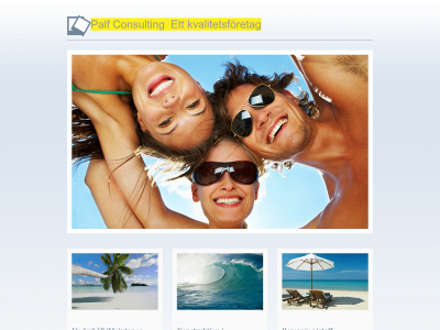 palfconsulting.se snapshot