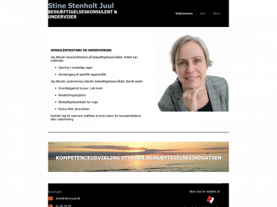 stine-juul.dk snapshot