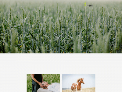 anima-massage.se snapshot