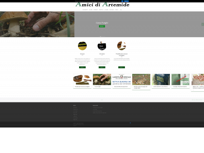 amicidiartemide.it snapshot