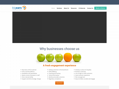bigears.com snapshot