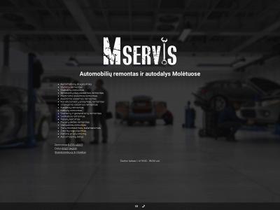 mservis.lt snapshot