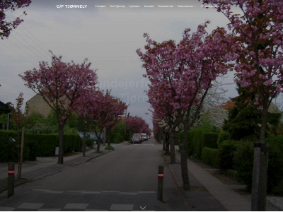 tjornely.dk snapshot
