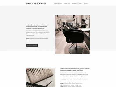 salondines.dk snapshot