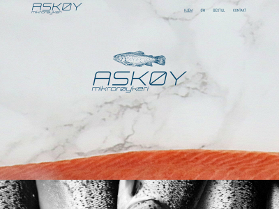 askoymikroroykeri.no snapshot