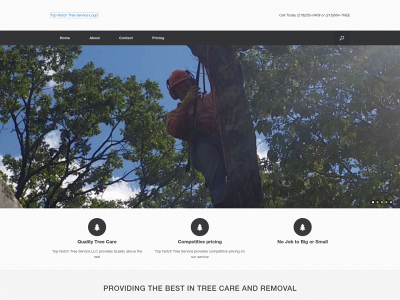 tntreeservicellc.com snapshot