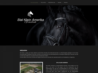stalkleinamerika.nl snapshot