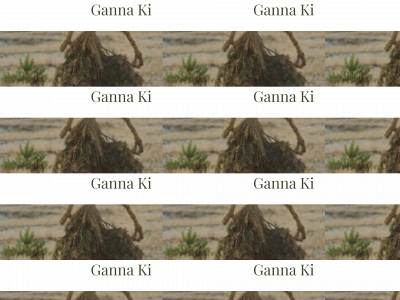 gannaki.com snapshot