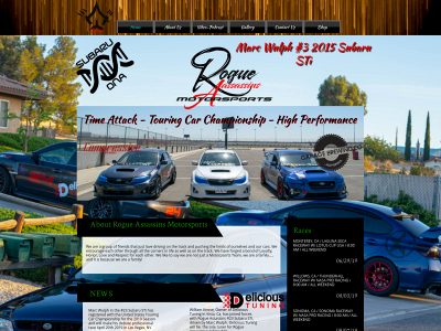rogueams.com snapshot