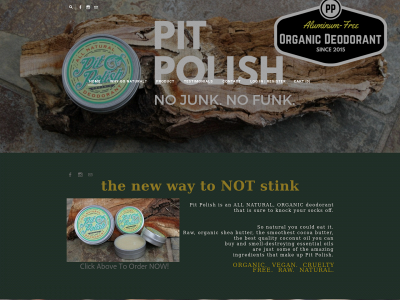 www.pitpolish.com snapshot