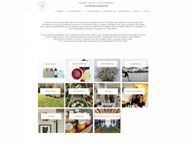 sundhedsvaerkstedet.com snapshot