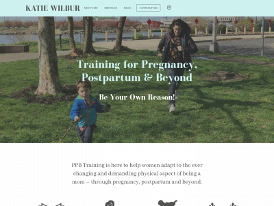 ppbtraining.com snapshot