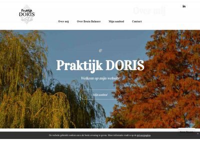 praktijkdoris.nl snapshot