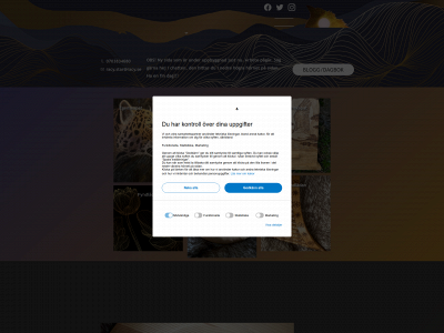 racyart.se snapshot