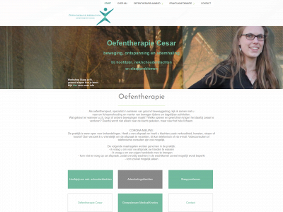oefentherapiemeerhoven.nl snapshot