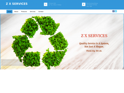 zxservices.qa snapshot