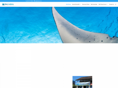 baliaqua.com snapshot
