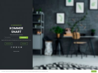 dincity.se snapshot