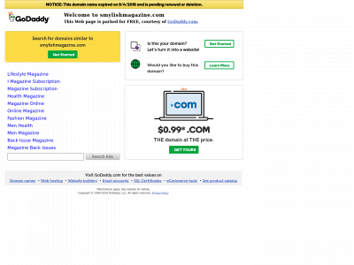 smylishmagazine.com snapshot