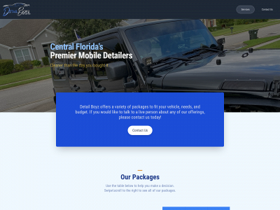 detailboyzfl.com snapshot