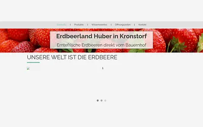 huber-erdbeeren.at snapshot