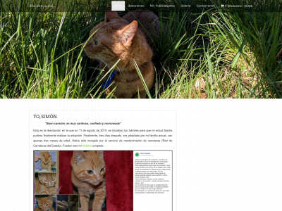 thesimoncat.es snapshot
