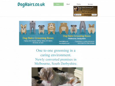 doghairs.co.uk snapshot