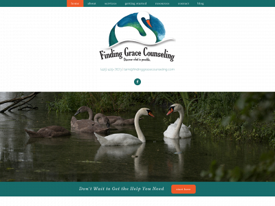 findinggracecounseling.com snapshot
