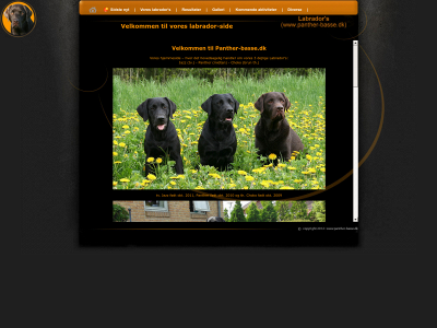 panther-basse.dk snapshot